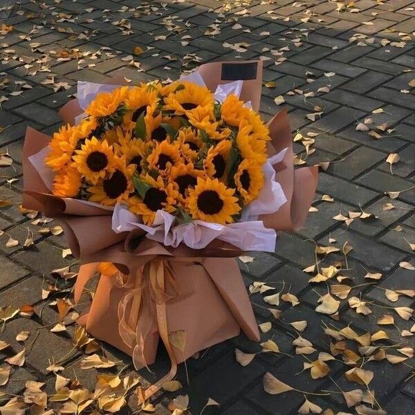 Helianthus annuus Цветок