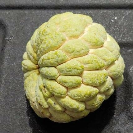 Annona squamosa Fruit