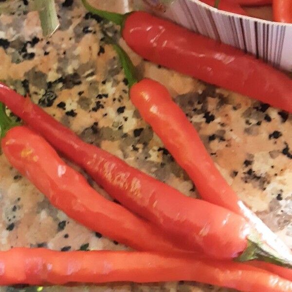 Capsicum baccatum ഫലം