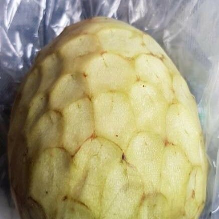 Annona cherimola ᱡᱚ