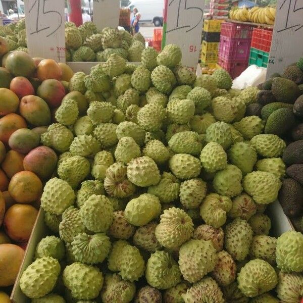 Annona squamosa Fruit