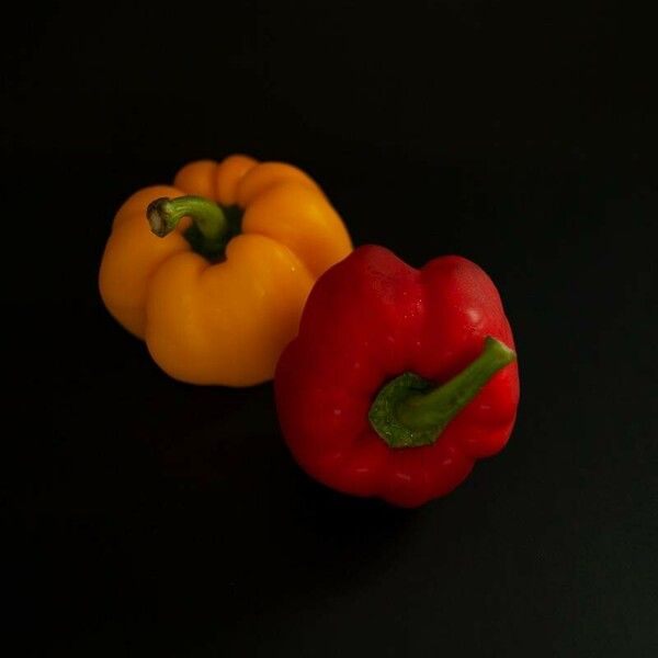 Capsicum annuum Ffrwyth