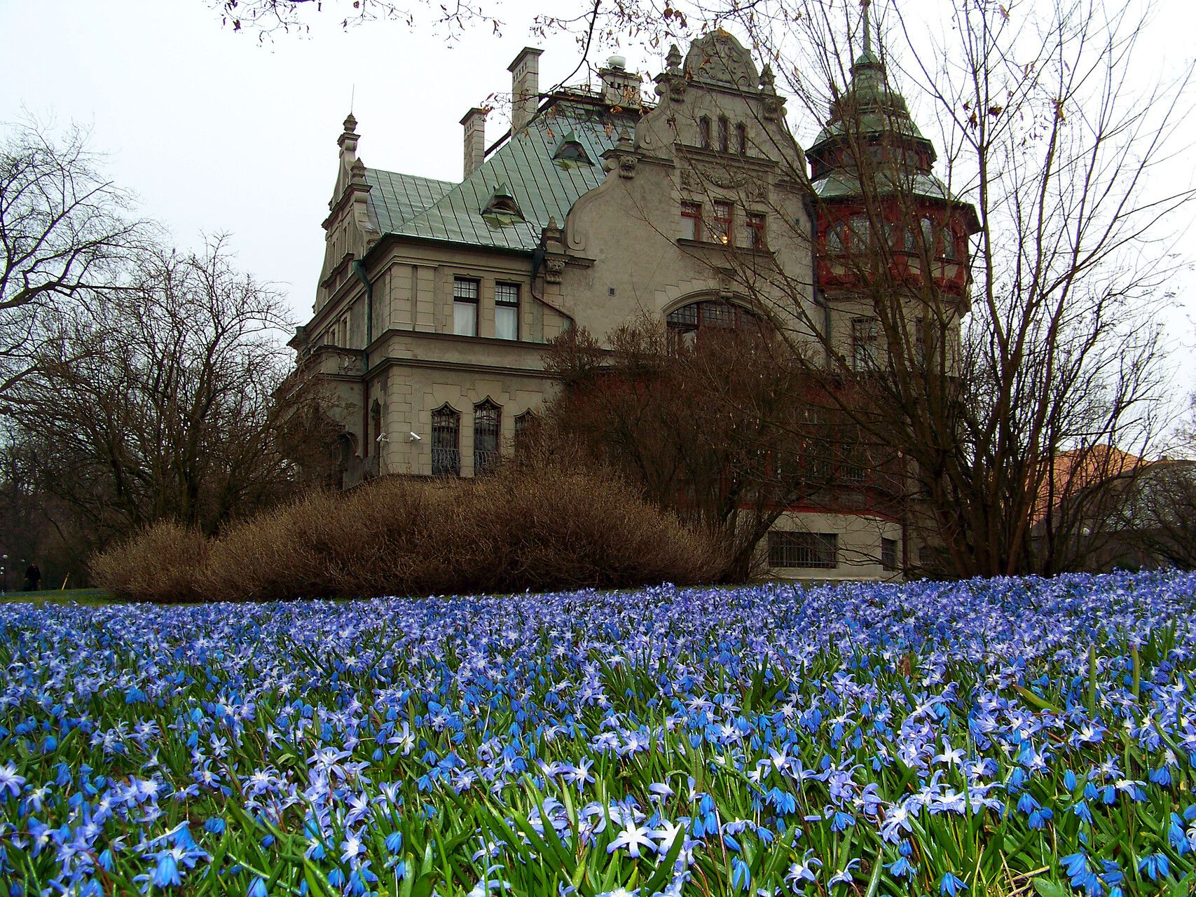 Taken Apr 17, 2013 by Andrzej Konstantynowicz (cc-by-sa)