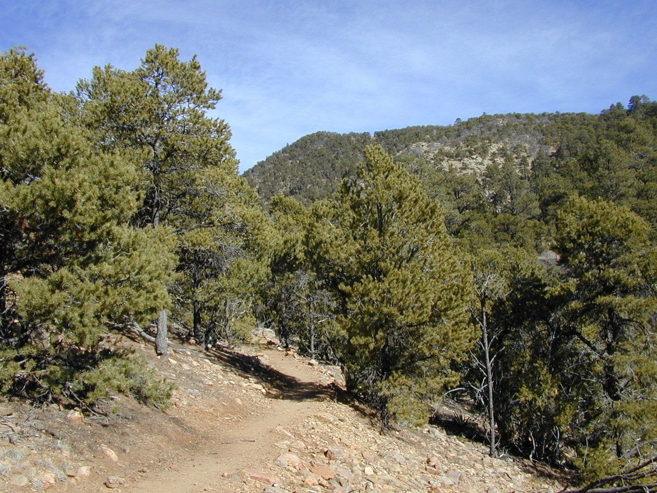 Taken Jan 1, 1900 by EOL − Bryan Ungard from Santa Fe, New Mexico, USA (cc-by-sa)