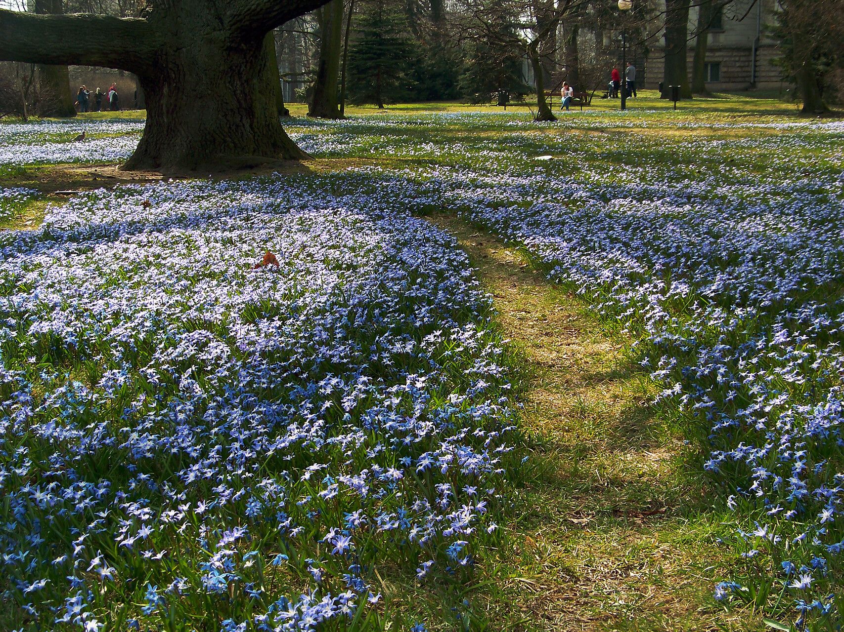 Taken Apr 17, 2013 by Andrzej Konstantynowicz (cc-by-sa)