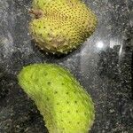 Annona muricata Fruit