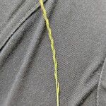 Vulpia unilateralis 花