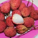 Litchi chinensis ഫലം