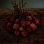 Litchi chinensis Fruto