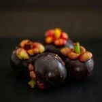 Garcinia mangostana 果實