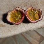 Passiflora edulis Owoc