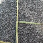 Polypogon viridis পাতা