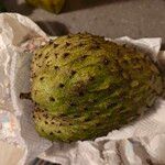 Annona muricata Fruto