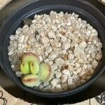 Cotyledon pendens Hoja