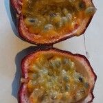Passiflora edulis Övriga