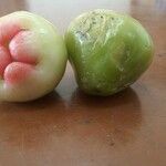 Syzygium samarangense Fruit