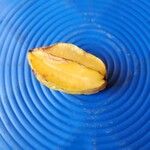 Averrhoa carambolaFruit