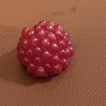 Rubus idaeus果實