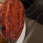 Theobroma cacao Fruit