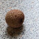 Litchi chinensis ഫലം