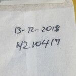 Chamaecrista nictitans Diğer