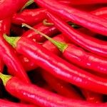 Capsicum baccatum Плід