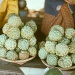 Annona squamosa Fruit