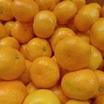 Citrus × aurantium Fruit
