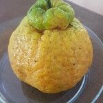 Citrus medica പുറംതൊലി