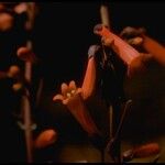 Penstemon centranthifolius 花