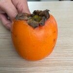 Diospyros kaki Fruit