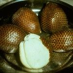 Salacca zalacca ഫലം