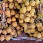 Dimocarpus longan Frucht