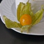 Physalis peruviana Fruto