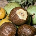 Salacca zalacca ഫലം