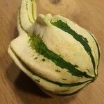 Cucurbita moschata 果実