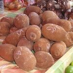 Theobroma grandiflorum Fruto