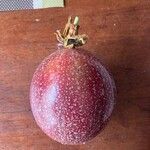 Passiflora edulis Frukt