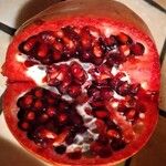 Punica granatum Frukt