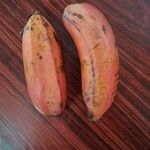 Musa acuminataFruit