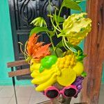 Gloriosa simplex फूल