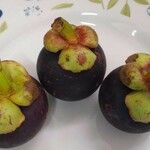 Garcinia mangostana 果實