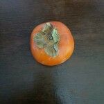 Diospyros kaki Fruit