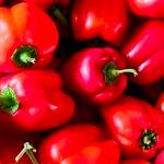 Capsicum annuum Fruto