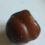 Salacca zalacca മറ്റ്