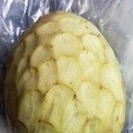 Annona cherimola 果實