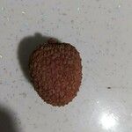 Litchi chinensis ഫലം