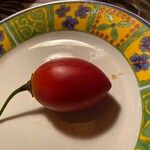 Solanum betaceum Fruit