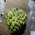 Annona squamosaFruit