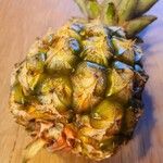 Ananas comosus 果